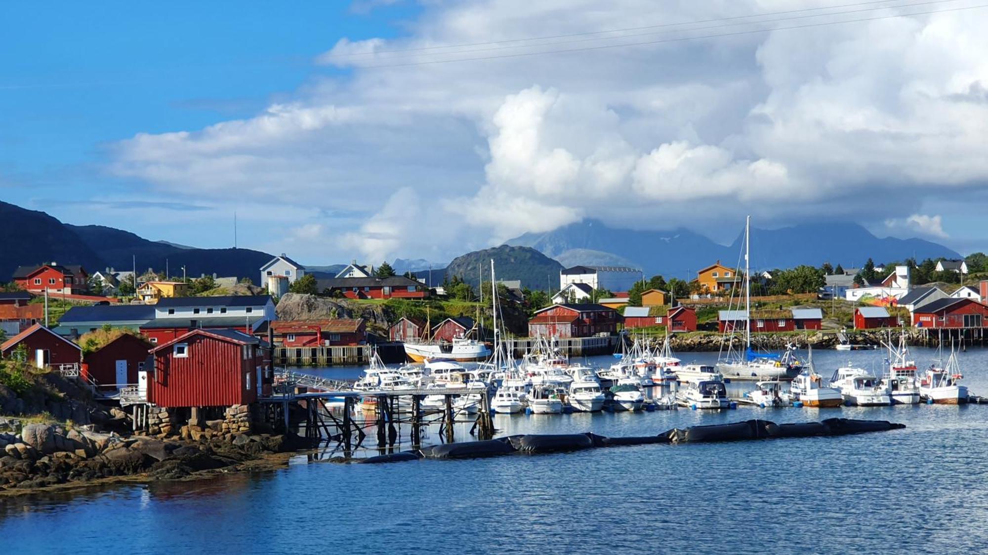 Lofoten Seaside *