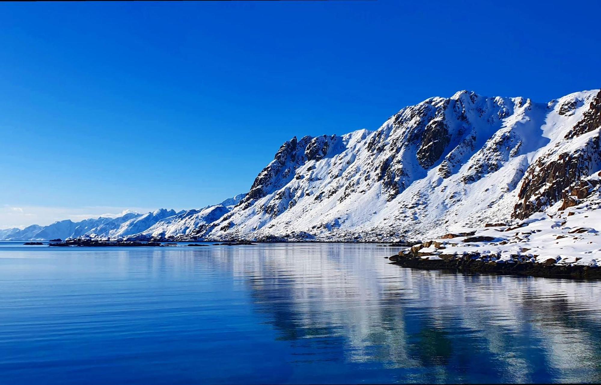 Lofoten Seaside Apartment *